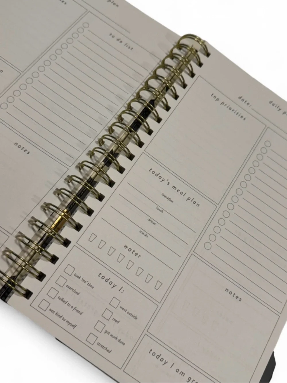 Leopard Print Spiral Notebook - Black, Gold, Cream